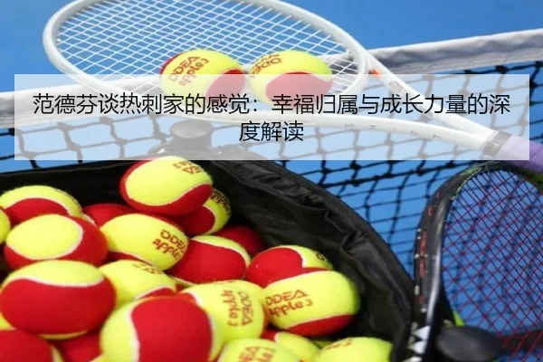 范德芬谈热刺家的感觉：幸福归属与成长力量的深度解读
